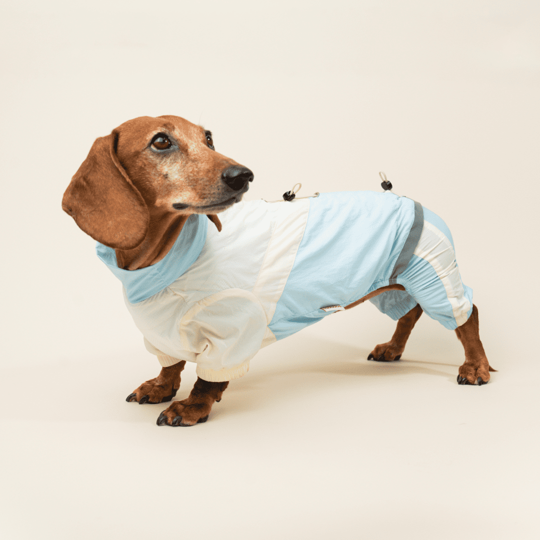 paaaata Premium Dach cooling jacket