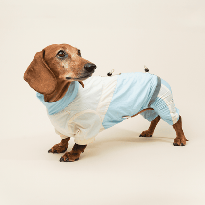 paaaata Premium Dach cooling jacket