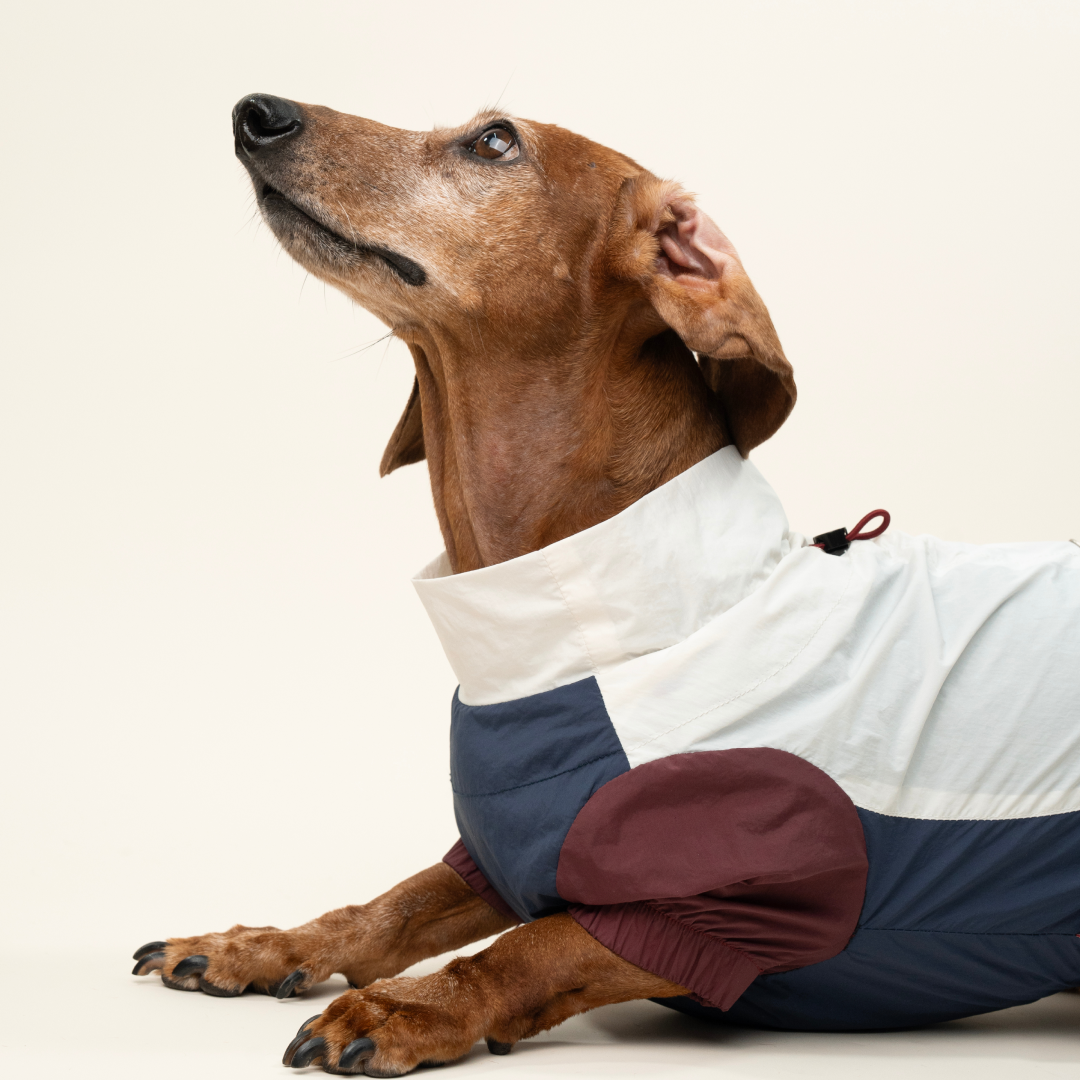 paaaata Premium Dach cooling jacket